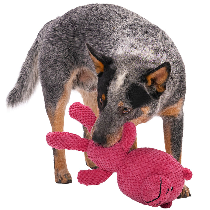 goDog - Checkers Hippo Squeaky Plush Dog Toy with Chew Guard Technology