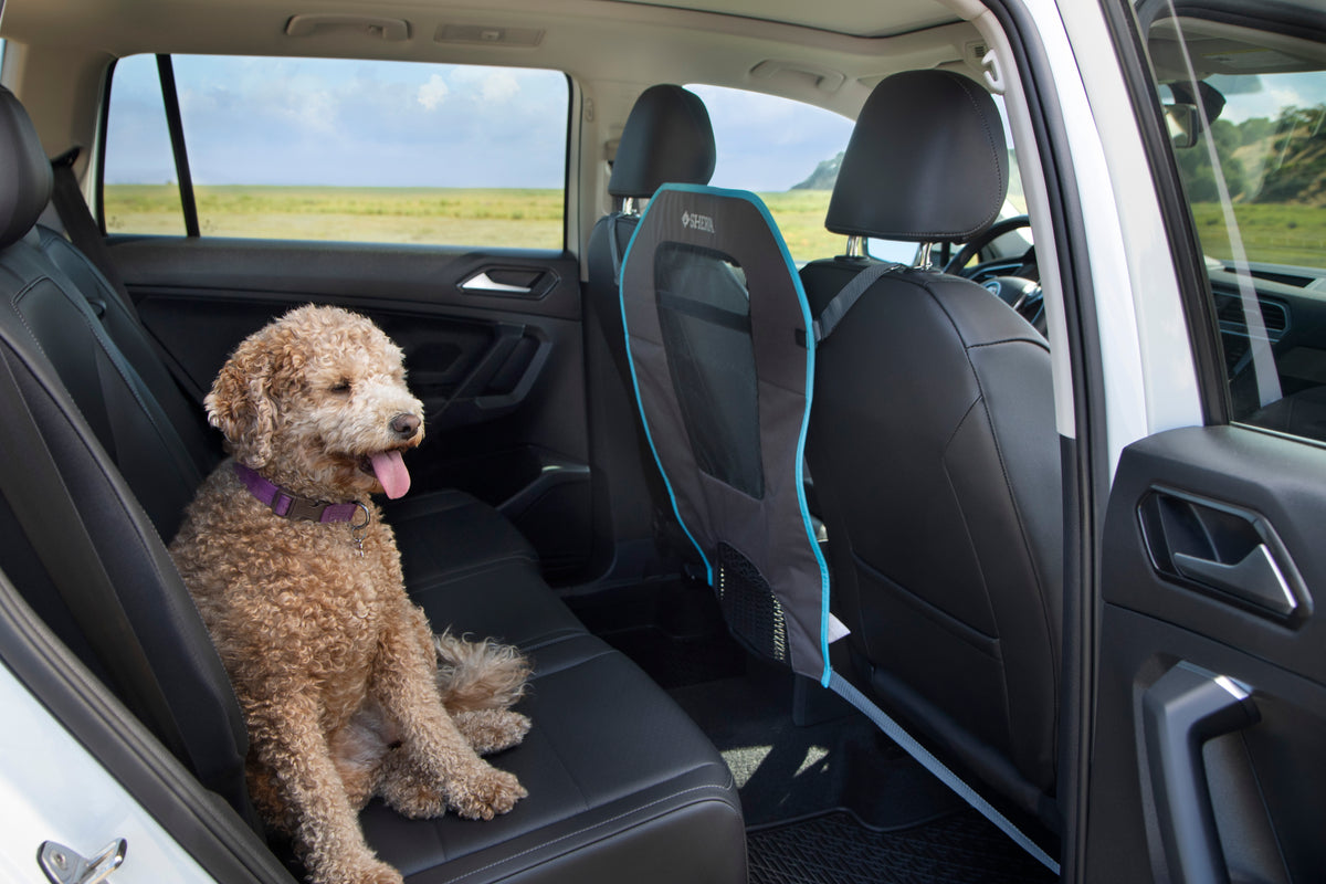 Front fashion seat dog guard