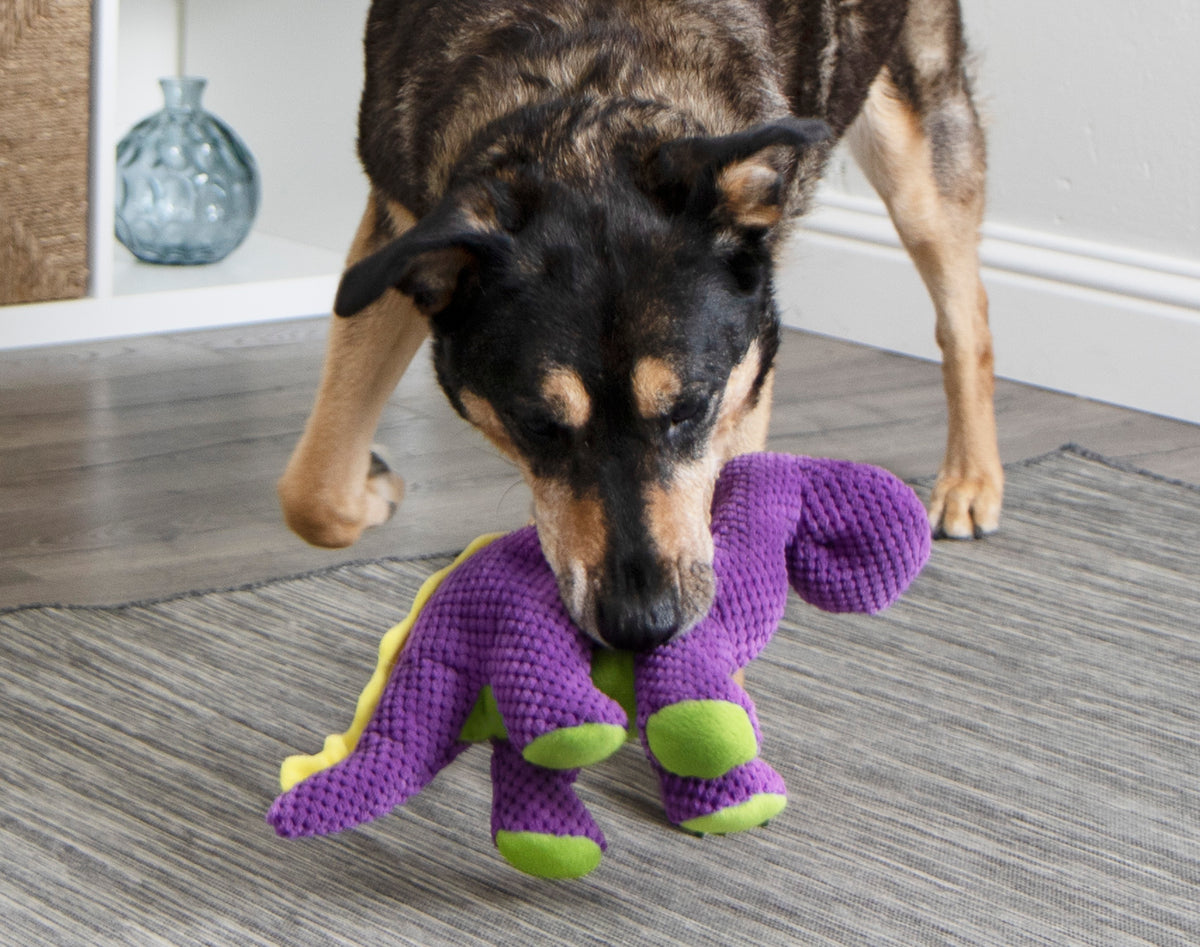 Busy Buddy Dog Toys for Behavior Enrichment