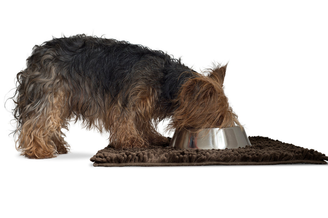 Ultra Absorbent Muddy Paws Pet Towel & Shammy Dog Rug
