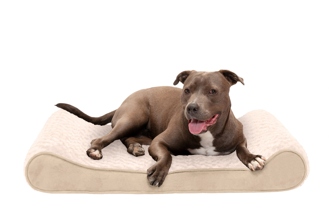 Archie & Oscar™ Karlin Ultra Plush Luxe Lounger Contour Dog Pillow
