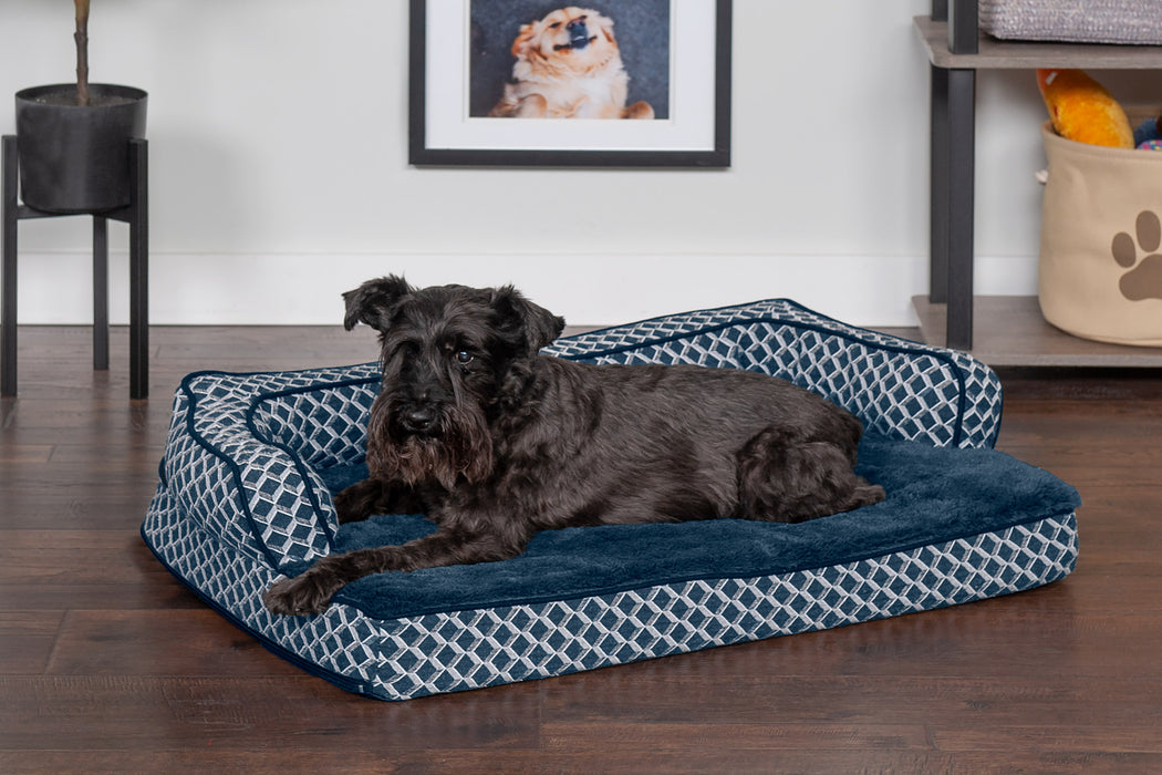 Chewy V Print Dog Bed  A Comfort Haven for Your Dachshund