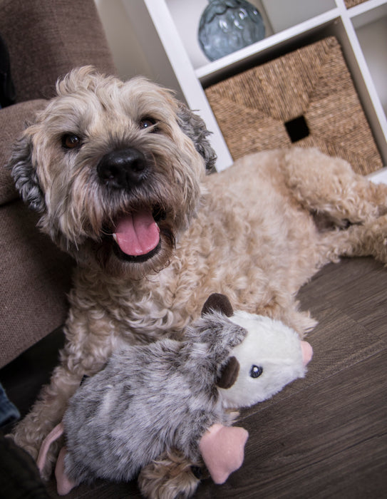goDog - Flatz Squeaky Plush Dog Toy with Chew Guard Technology