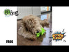 Video displaying the features of the godog action plush frog. Happy dogs bite on the toy and the frogs legs kick back and forth.
